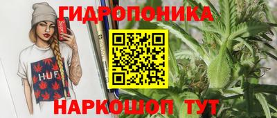 хмурый Краснодар