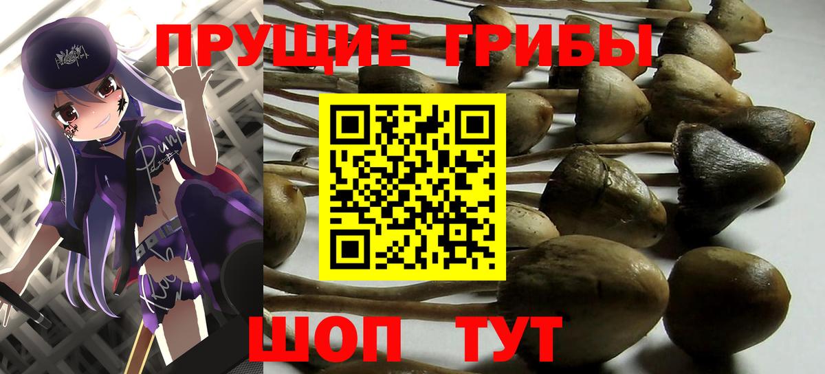 Галлюциногенные грибы GOLDEN TEACHER Фрязино