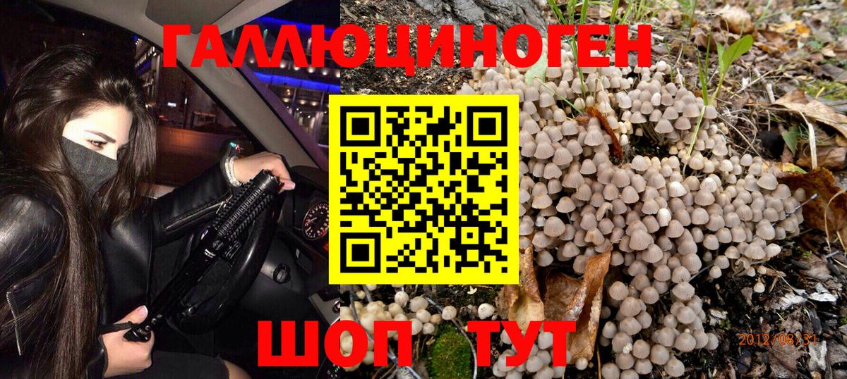 Фрязино  Псилоцибиновые грибы MAGIC MUSHROOMS  Вход с VPN  Псилоцибиновые грибы ЛСД 